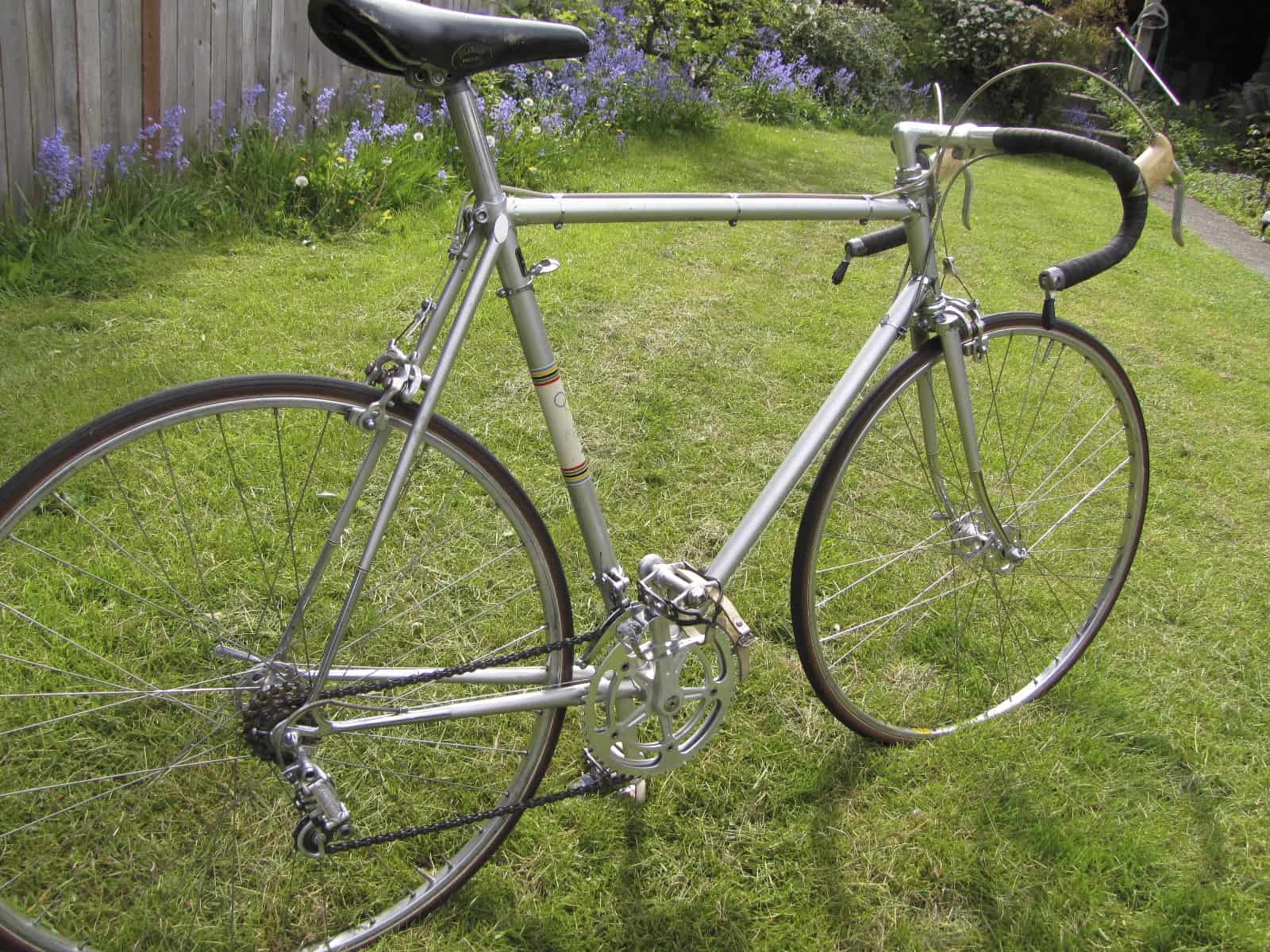 schwinn paramount for sale craigslist