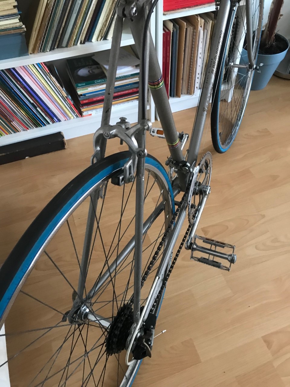 Rear image of Anquetil bike