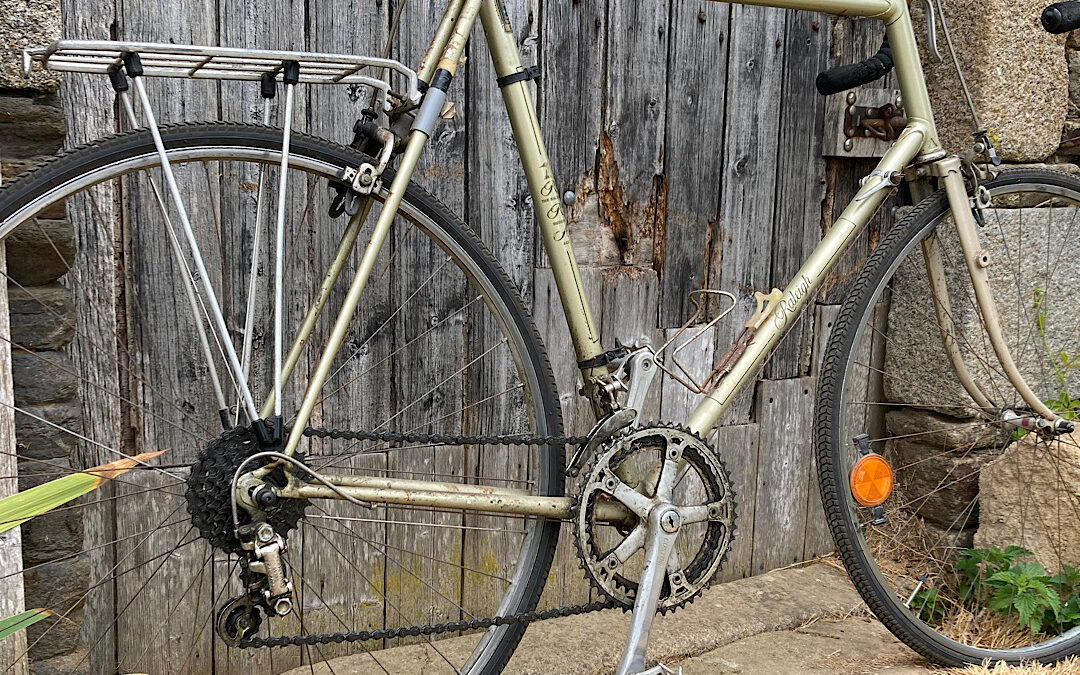 Raleigh Record Ace Side View Image