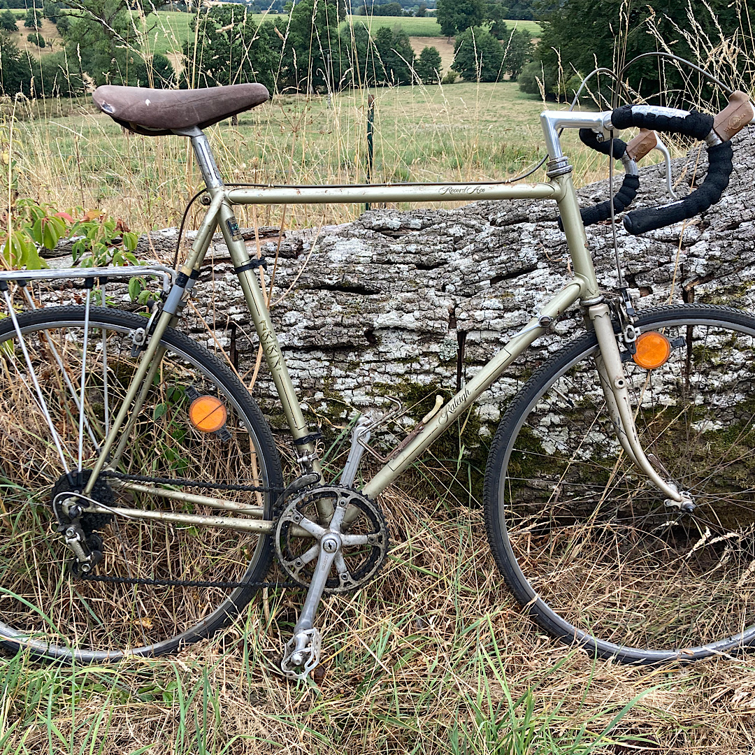 Image of Raleigh Record Ace Side View