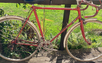 This Vintage Bike Isn’t Junk! It’s Actually a..