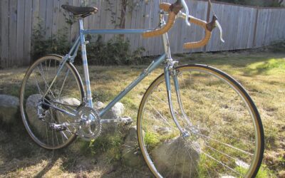 Raleigh Professional v Schwinn Paramount