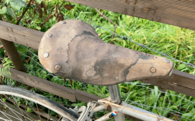 Restoring a Vintage Leather Saddle