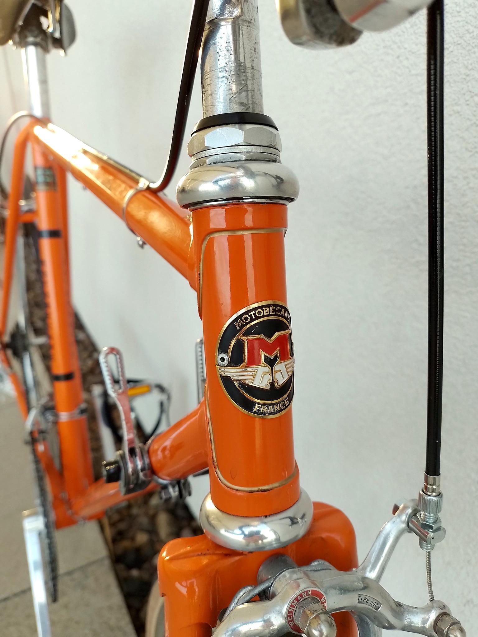 Image of head tube, Motobecane 