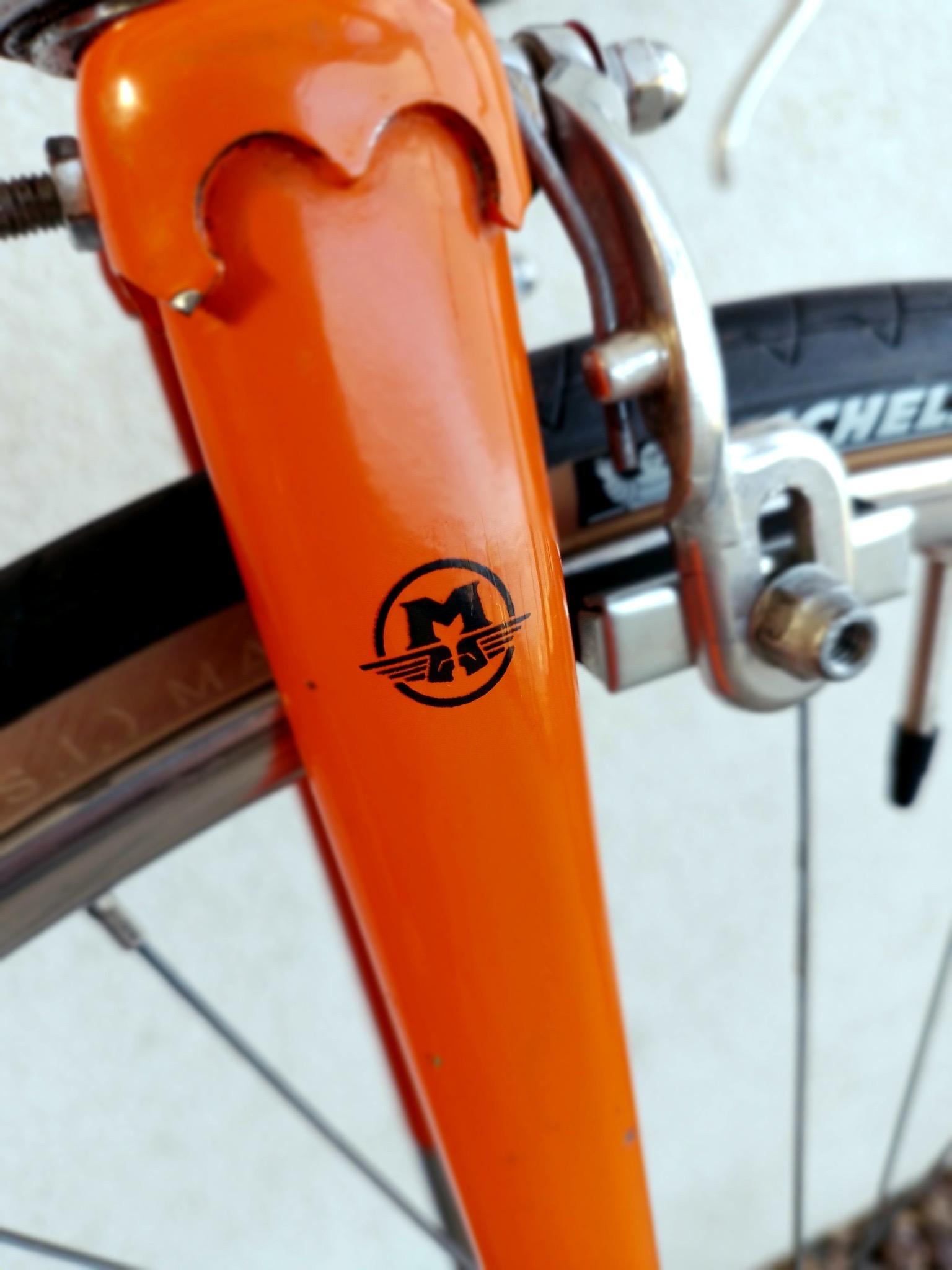 Image of Motobecane Super Champion fork