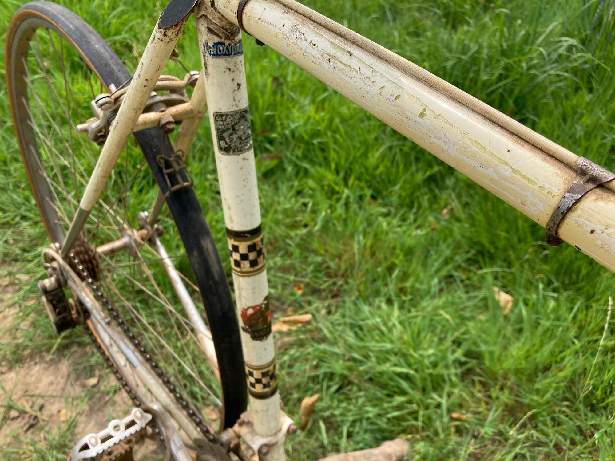 Image of PX10 unrestored top tube