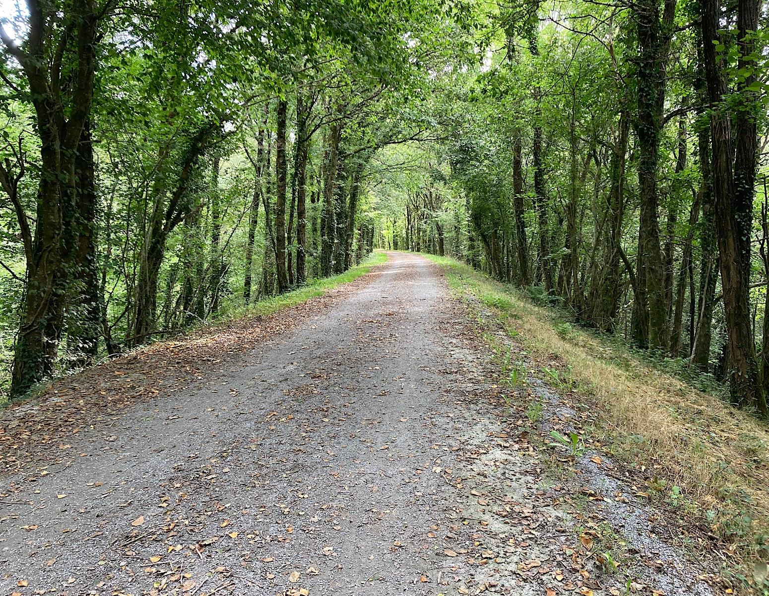 Image of riding my vintage bike through the trees on Voie Verte