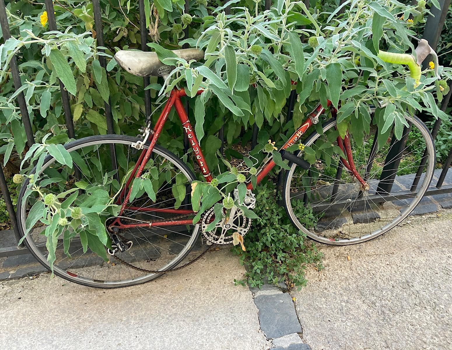 Cycling in Montpellier_Image of Helyett bike